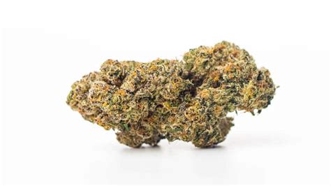 OG Pie Breath Strain Myrcene Brings Earthy Scent